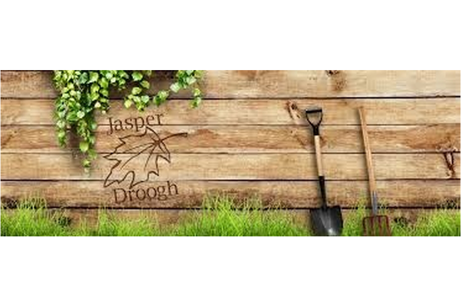 Jasper Droogh